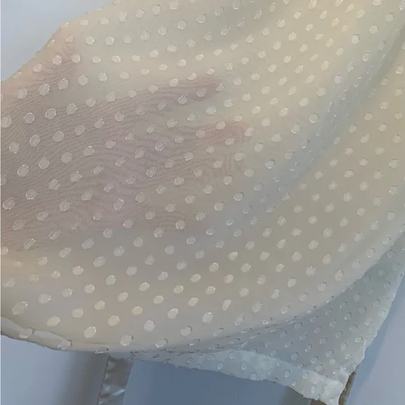 Apt 9 Semi Sheer Swiss Dot Feminine Blouse - Picture 5 of 10